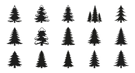 A collection of fifteen stylized black silhouette illustrations of evergreen coniferous trees, including pine and fir varieties, presented in a grid layout against a white background.