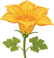 Vibrant Yellow Squash Blossom Flat Vector Illustration