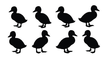 Black and white silhouettes of ducks in various poses and positions