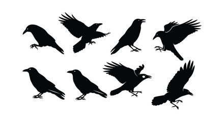 Silhouettes of crows in various poses depicting flight and perching behavior