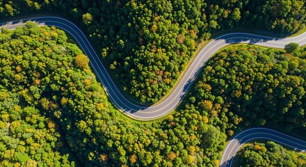 Aerial view of a winding asphalt road with multiple curves cutting through a dense, vibrant green forest under bright sunlight.