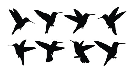 A collection of hummingbird silhouettes in various flight poses and angles