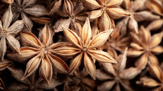 Close Up of Star Anise Pods with a Warm Brown Tone on Dark Background Detailed Texture and Star Shape for Culinary and Aromatic Use High Angle View