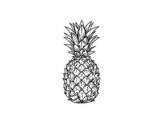 Pineapple 2D vector line art in a clean minimalist style for modern branding