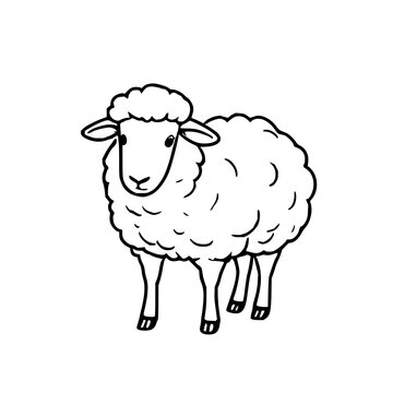 Black line art illustration of a sheep, minimalist, clear outline isolated on white background.