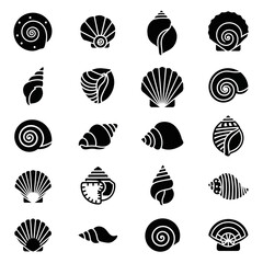 Elegant seashell collection perfect for coastal designs, summer promotions, and nautical themes with beach vibes, showcasing diverse marine life forms © gundul