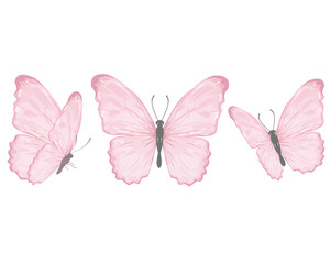 Obraz premium WATERCOLOR hand drawn design vector 