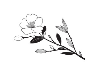 Single Flower And Leaves On A Branch Minimalist 2D Vector Line Art Illustration Design