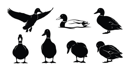 Black and white silhouettes of ducks in various poses and positions