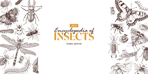 Insects horizontal banner vector with hand drawn creatures
