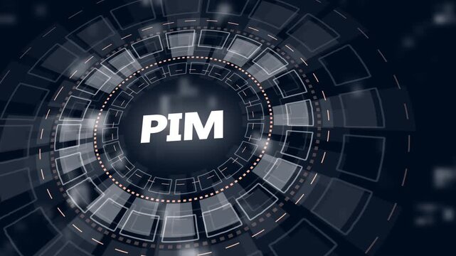Futuristic HUD interface with PIM acronym in glowing white concentric circles and digital background