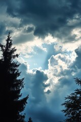 Obraz premium Dramatic sky with sun rays and dark tree silhouettes