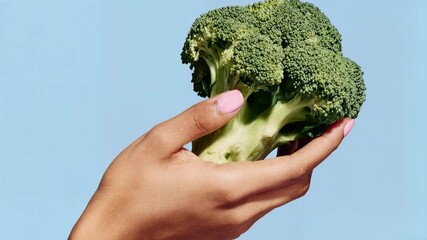 Fresh green broccoli held gently in a hand against a clean blue backdrop highlighting healthy eating organic vegetables and mindful lifestyle choices for diet food and nutrition themes
