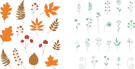 Minimalist vector collection of thirty-two simple, delicate outlined floral elements, small blooms, leaves, and wispy greenery sprigs, ideal for rustic wedding invitations, logos, and elegant line art