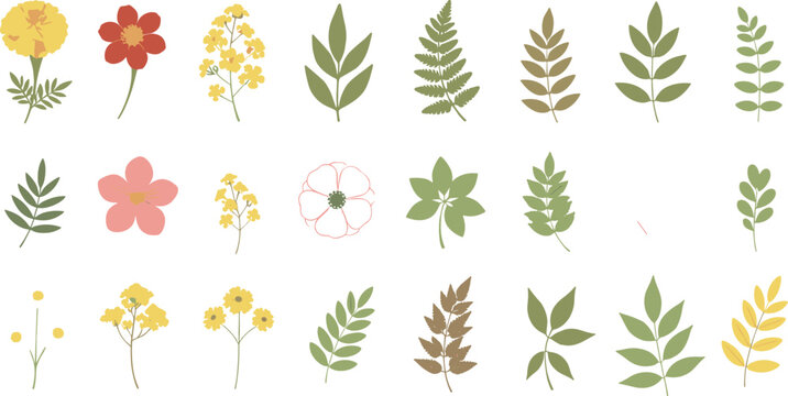 Extensive vector collection of thirty-three flat color botanical elements, including marigolds, roses, ferns, and various leaves in natural green and yellow hues, perfect for minimal logos and decorat