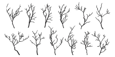 Collection of bare tree branch sketches, natural dry twig elements isolated on white background