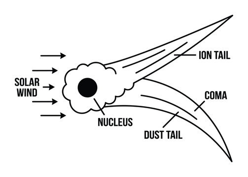 Comet with nucleus, coma, dust tail, and ion tail interacting with solar wind illustration.