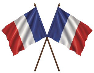 flag of france on a white background 
