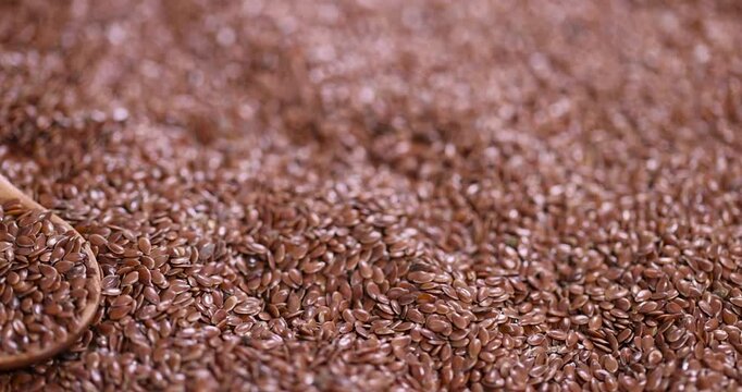 flax seeds for sowing in one wooden spoon, a large number of brown flax seeds and a wooden spoon with seeds