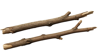 Realistic Tree Sticks and Twigs - Transparent Background PNG