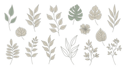 Botanical Elements and Delicate Floral Motifs A Collection of Hand-Drawn Leaves and Flowers