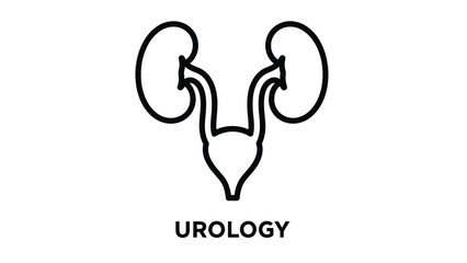 Urology Line Icon. Human Urinary System Anatomy Outline Illustration featuring Kidneys, Ureters, and Bladder. Medical Vector Design Element.