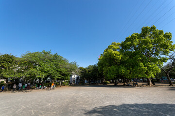井田公園（神奈川県川崎市中原区井田１丁目２８）