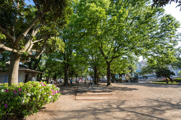 井田公園（神奈川県川崎市中原区井田１丁目２８）