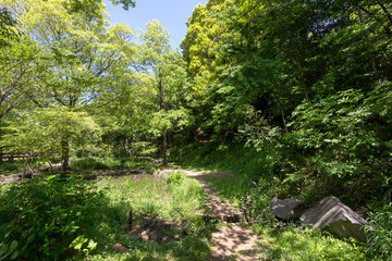 中原区市民健康の森<井田山緑地>（神奈川県川崎市中原区井田２丁目３２）