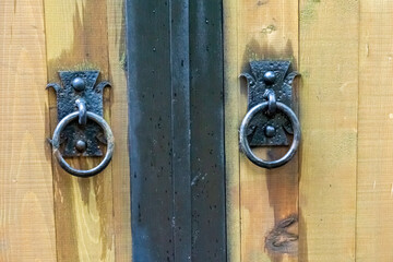 A bush of unripe red blackberries on thorny long branches with green and yellow leaves. Physalis, Chinese lantern, bladder cherry, or Cape gooseberry.