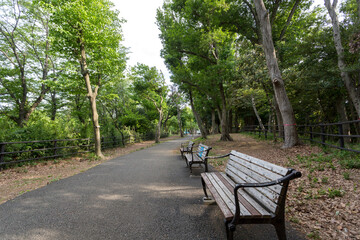 日吉の丘公園（神奈川県横浜市港北区箕輪町３丁目）