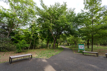 日吉の丘公園（神奈川県横浜市港北区箕輪町３丁目）