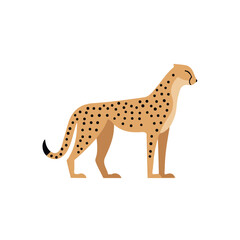Flat 2D vector illustration of Cheetah, simple icon style on a clean white background.