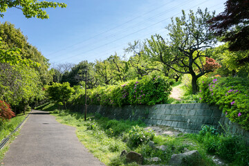 日吉公園（神奈川県横浜市港北区日吉２丁目）