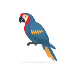 Simple flat 2D vector graphic of Macaw, modern icon look, displayed on a pure white background.