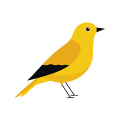 Bowerbird in a clean 2D flat vector icon style, minimal and simple, set on a plain white background.