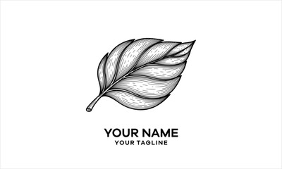 Vintage Leaf Logo Design Botanical Emblem Nature Symbol logo design.