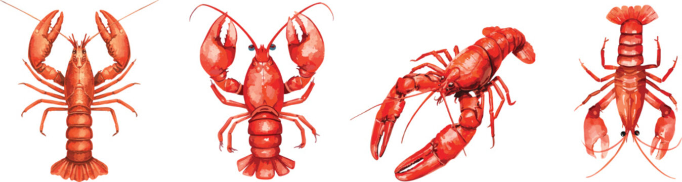 Red crayfish set. Watercolor illustration. Isolated element for design on white background.