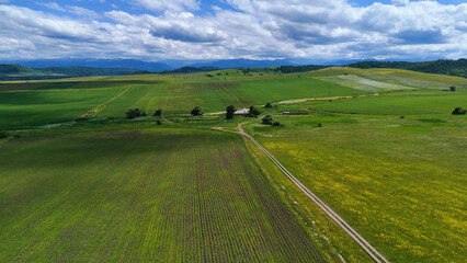 Fototapeta premium a farm in the middle of green meadows in the Caucasus Mountains, as seen from a drone