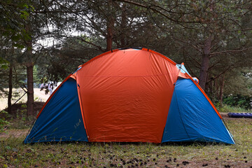 A tent pitched in the forest in summer