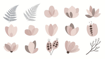 Botanical set fern fronds buds blooms seed pods branch on white © Donjuan Visual