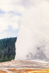 Yellowstone national park with the famous Old faithful geyser