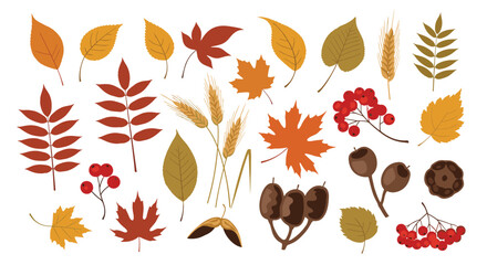 Obraz premium A diverse collection of colorful autumn leaves, berries, and harvest elements, perfect for seasonal designs and fall-themed projects.