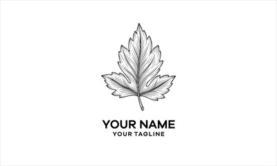 Detailed black and white hand-drawn illustration of a single botanical leaf with prominent veins, suitable for a vintage logo design.