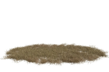 A detailed cutout of a clump of dry, light brown grass, appearing withered and dead. Isolated transparent  background, ready for digital use © omkuhh
