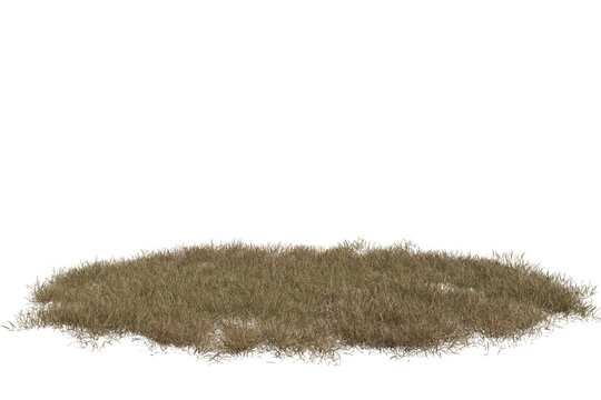 A detailed cutout of a clump of dry, light brown grass, appearing withered and dead. Isolated transparent  background, ready for digital use