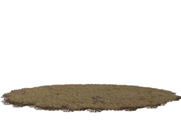 An isolated, low-angle view of an oval-shaped patch of dry, sparse yellowish-brown grass and earth. The natural turf cutout sits on a transparent  background