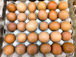 High Quality Fresh Chicken Eggs in Carton Packaging at Wholesale Store