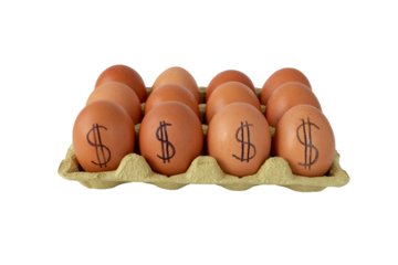 Egg price surge concept with dollar signs printed on eggs isolated transparent png