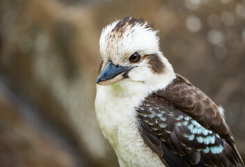 Denmark, Western Australia